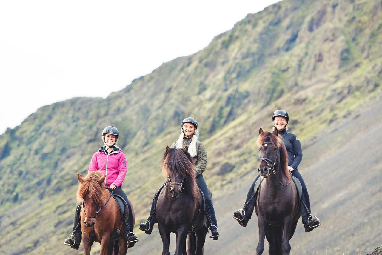 Akurgerthi Guesthouse 4 - Country Life Style Olfus ภายนอก รูปภาพ
